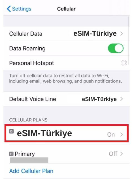 iOS Cellular Data Network